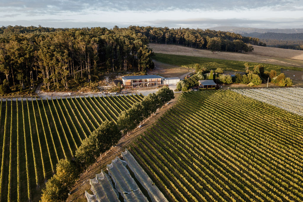 Moores Hill Estate aerial shot of vineyard